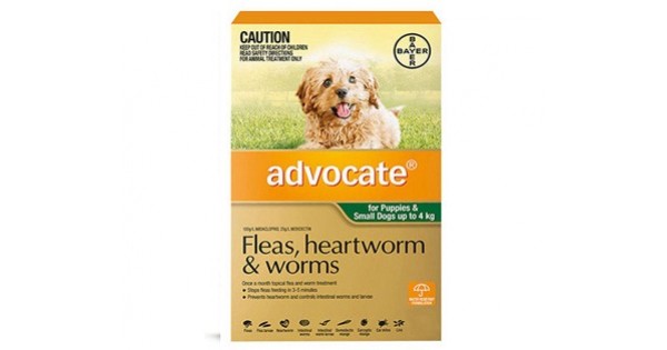 Advocate Sml Dog &amp; Pups (Green) Dogs &amp; Puppies