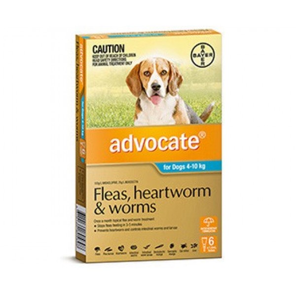 can cats get pregnant from multiple males