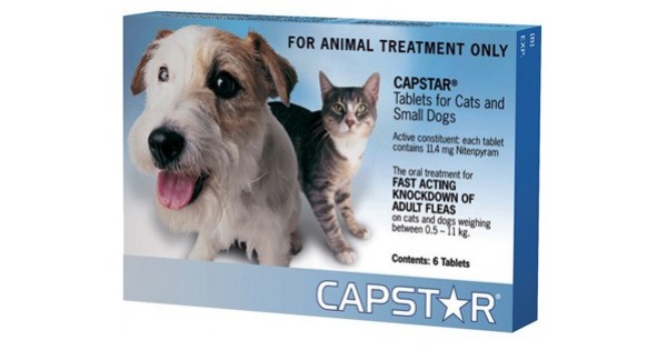 capstar for small dogs