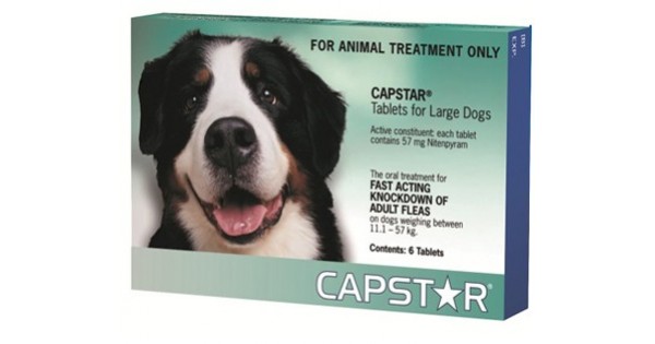 capstar revolution for dogs