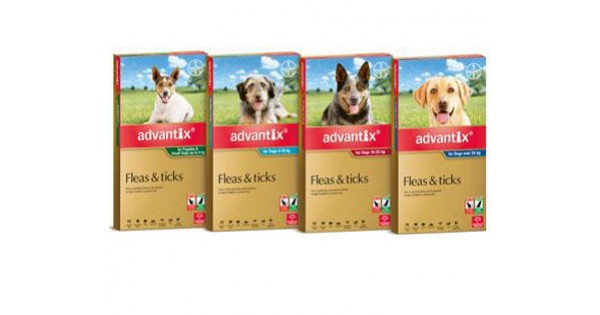 Advantix - Vet Meds for Pets
