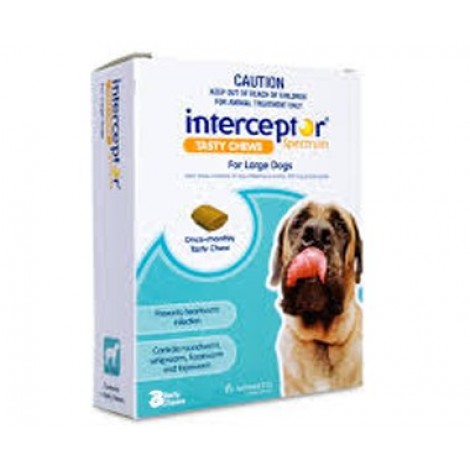 Interceptor Spectrum Large Blue