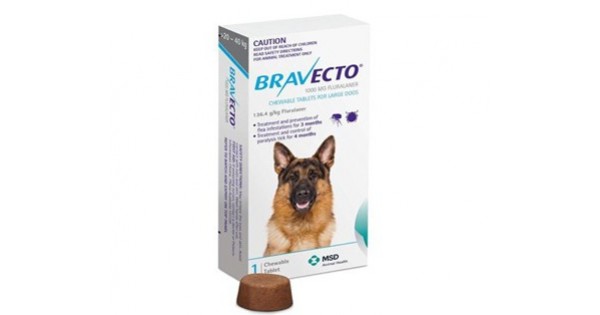 bravecto oral