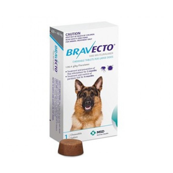 bravecto flea meds