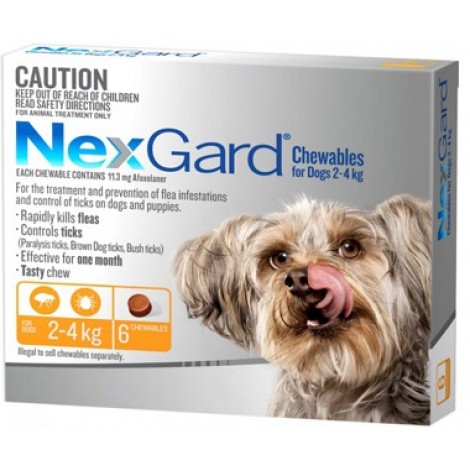 Nexgard Extra Small Dog Orange