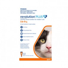 Revolution Plus Medium Cat Orange
