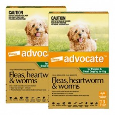 Advocate Small Dog & Pups Green