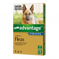 Advantage Ex Large Blue