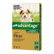 Advantage Small Dogs & Pups Green
