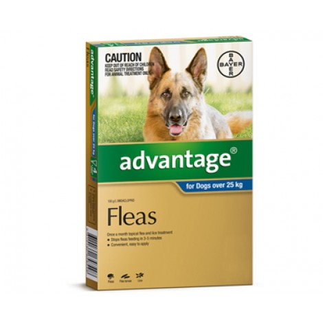 Advantage Ex Large (Blue)