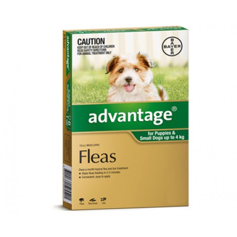 Advantage Small Dogs & Pups Green