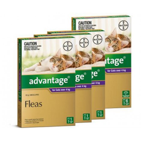 Advantage purple for cats cheap