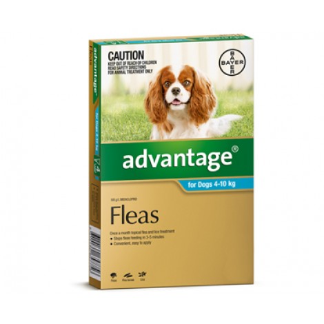 Advantage Medium Aqua