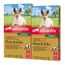 Advantix Small Dogs & Pups Green