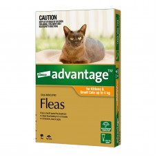 Advantage Kittens & Small Cats