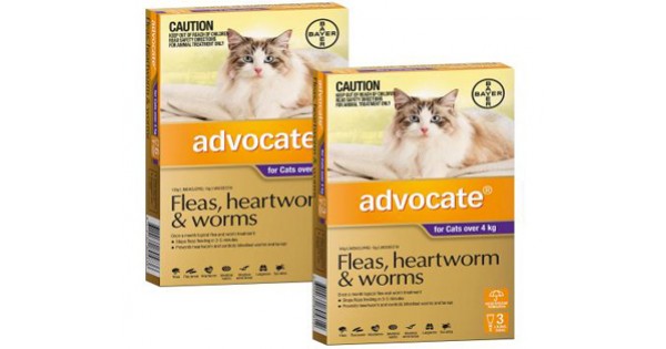 advocate cat 6 pack