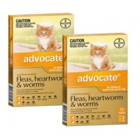 advocate dog medication