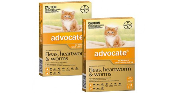 advocate for cats over 4kg