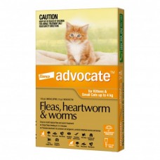 Advocate Kittens & Small Cats