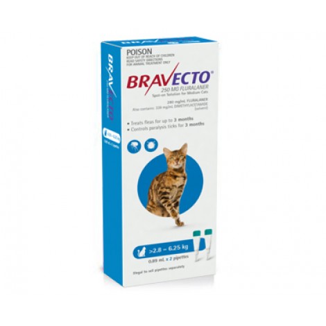 Bravecto Spot On for Medium Cats Blue