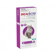 Bravecto Spot On for Large Cats Purple