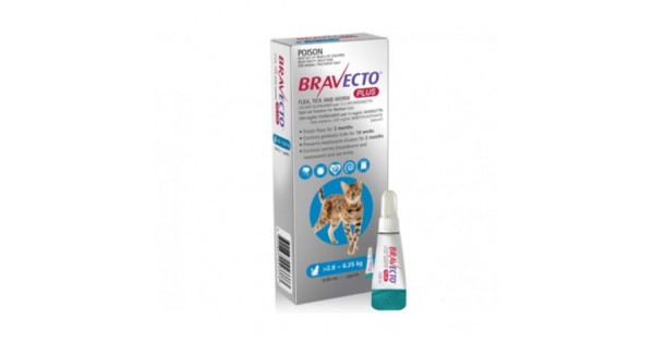 bravecto blue for cats