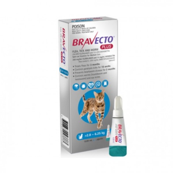 cat flea bravecto