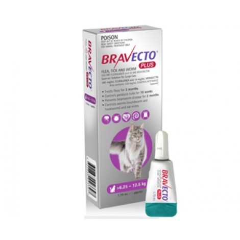 Bravecto Plus Large Cats Purple