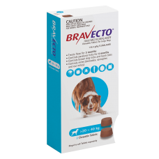 Bravecto Chews Large Dog Blue