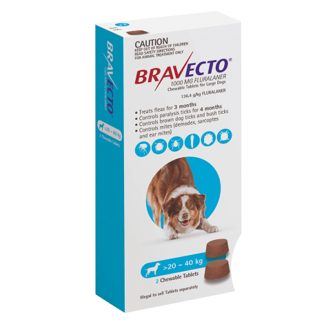 Bravecto Chews Large Dog Blue