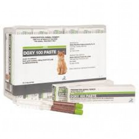 Doxy 100 Paste for Cats 