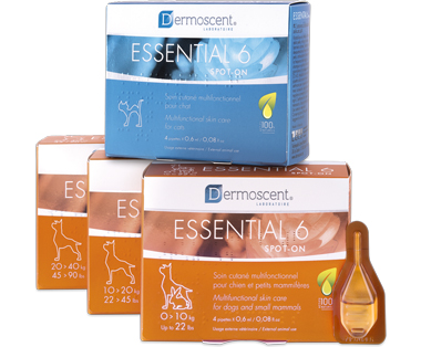 Essential 6 for Dogs and Cats 4 Pack - Cats & Kittens