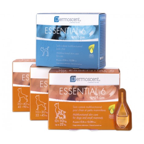 Essential 6 for Dogs and Cats 4 Pack
