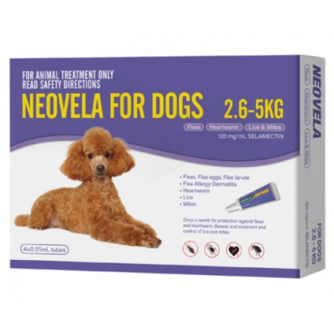 Neovela for Dogs Purple 