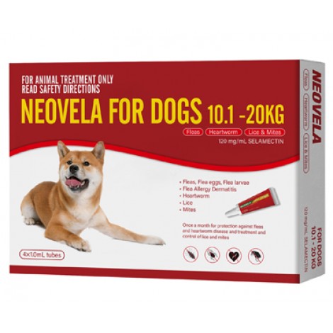 Neovela for Dogs Red