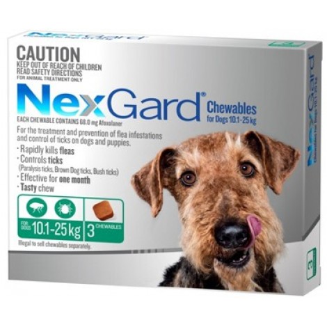 Nexgard Medium Dog Green