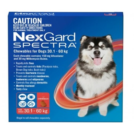 Nexgard Spectra Extra Large Dog Red