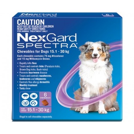 Nexgard Spectra Large Dog Purple