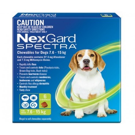 Nexgard Spectra Medium Dog Green