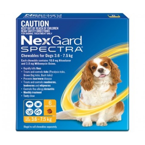 Nexgard Spectra Small Dog Yellow