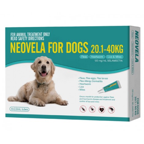 Neovela for Dogs Teal