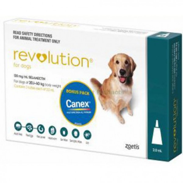 Revolution Large (Teal) - Dogs \u0026 Puppies