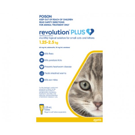 Revolution Plus Kitten Yellow