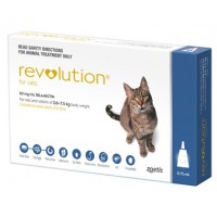 Revolution Cat Blue