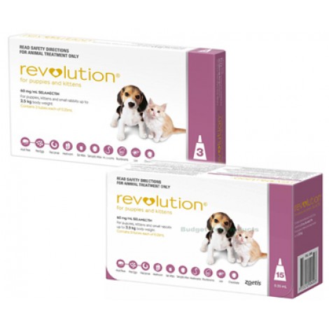 Revolution for Puppies & Kittens Pink