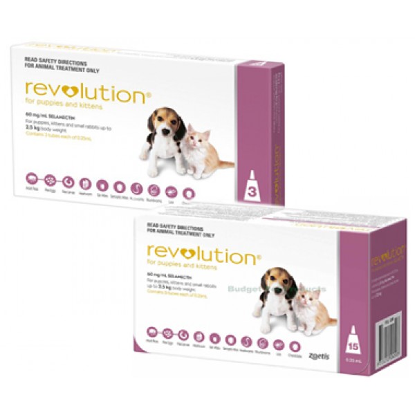 Revolution (Pink) For Puppies & Kittens Cats & Kittens