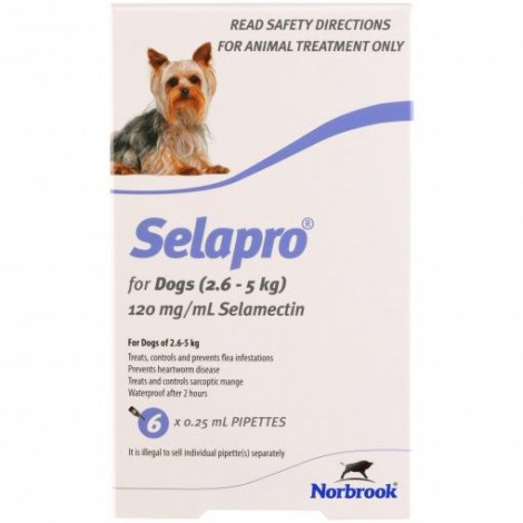 Selapro for Dogs (Purple) 2.6-5kg (5.7-11lbs)