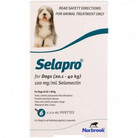 Selapro for Dogs (Teal) 20-40kg (44-88lbs)