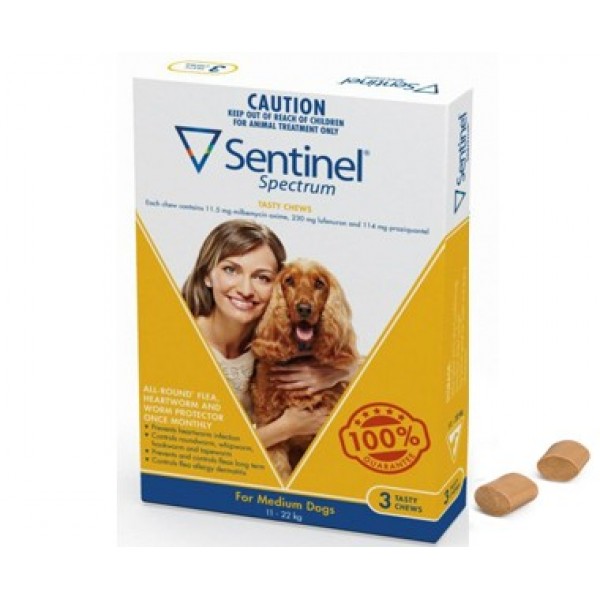 sentinel flea and heartworm